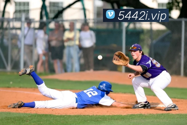 互动解说服务